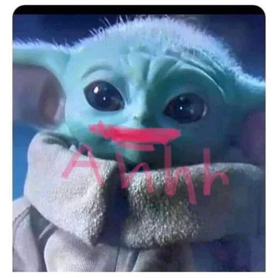 🫧 🌸 🫧