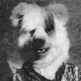 BD Beardog