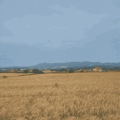 troschunk