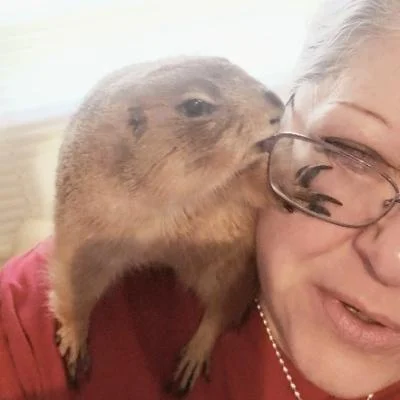 Skwerlgyrl :squirrel_photo: 🐿️