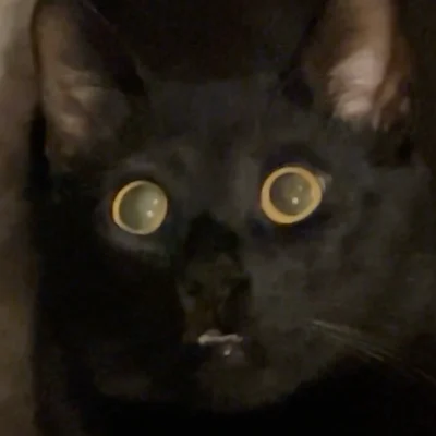 jbot